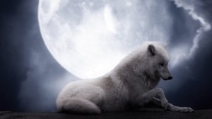 wolf-moon-lie_773764-618x347